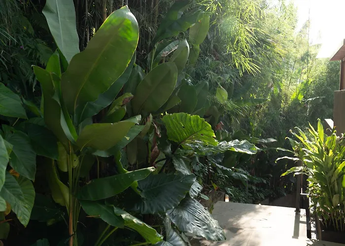 Djani Sebatu Bed & Breakfast Tegallalang (Bali)
